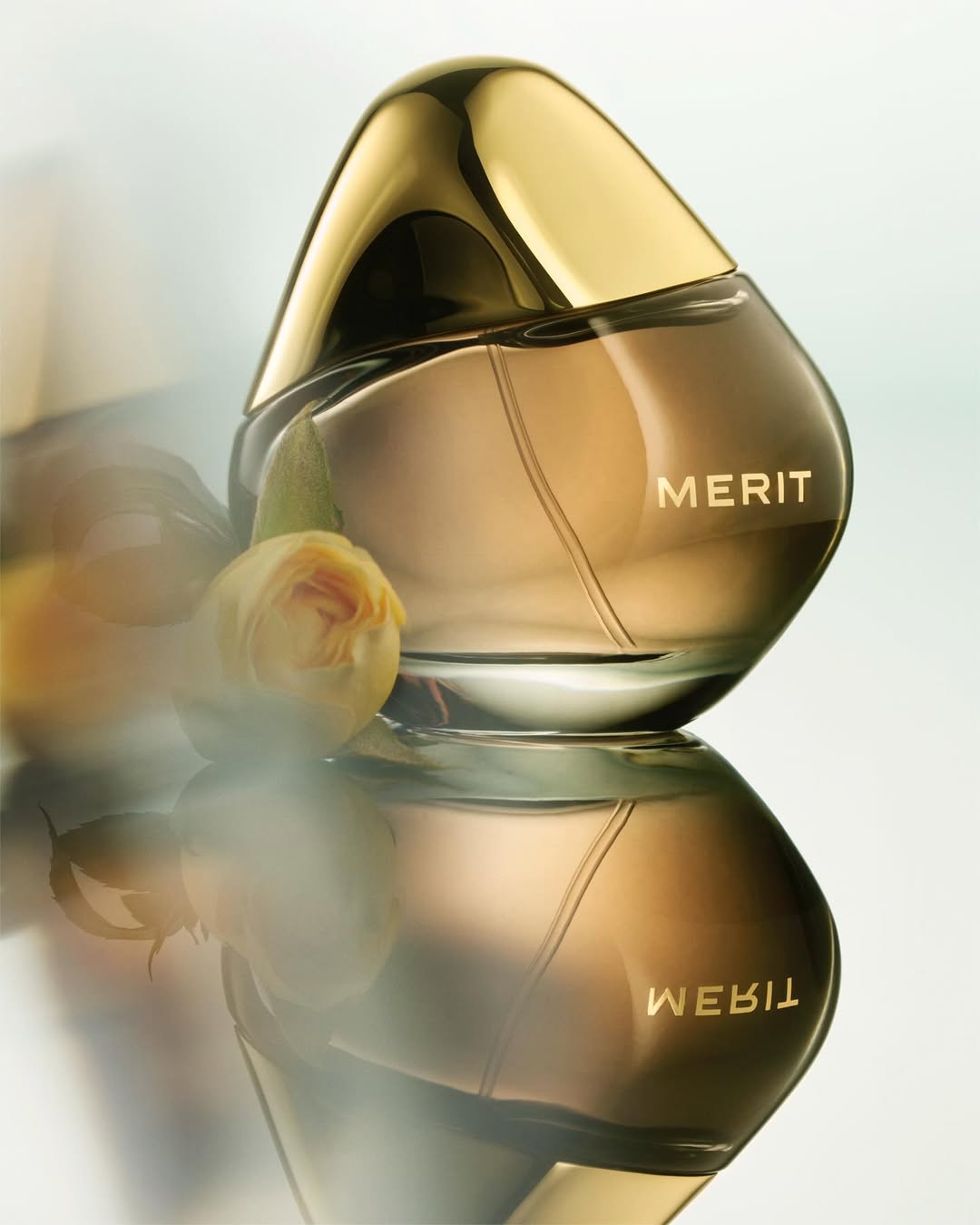 MERIT |  Dec. 25