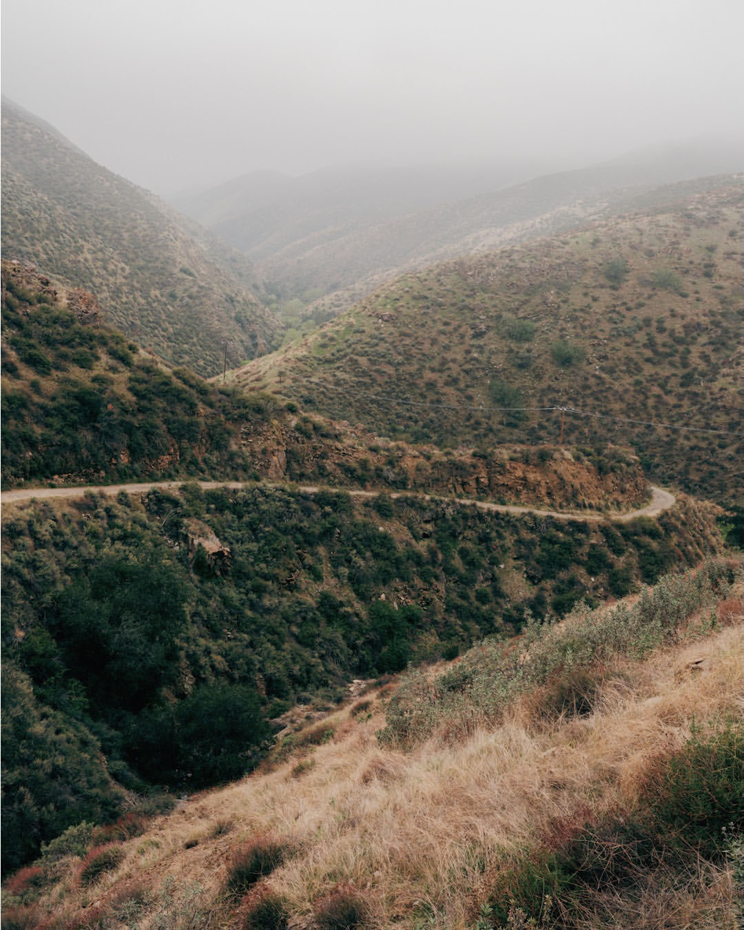 Benjamin Rasmussen X Road & Track Magazine