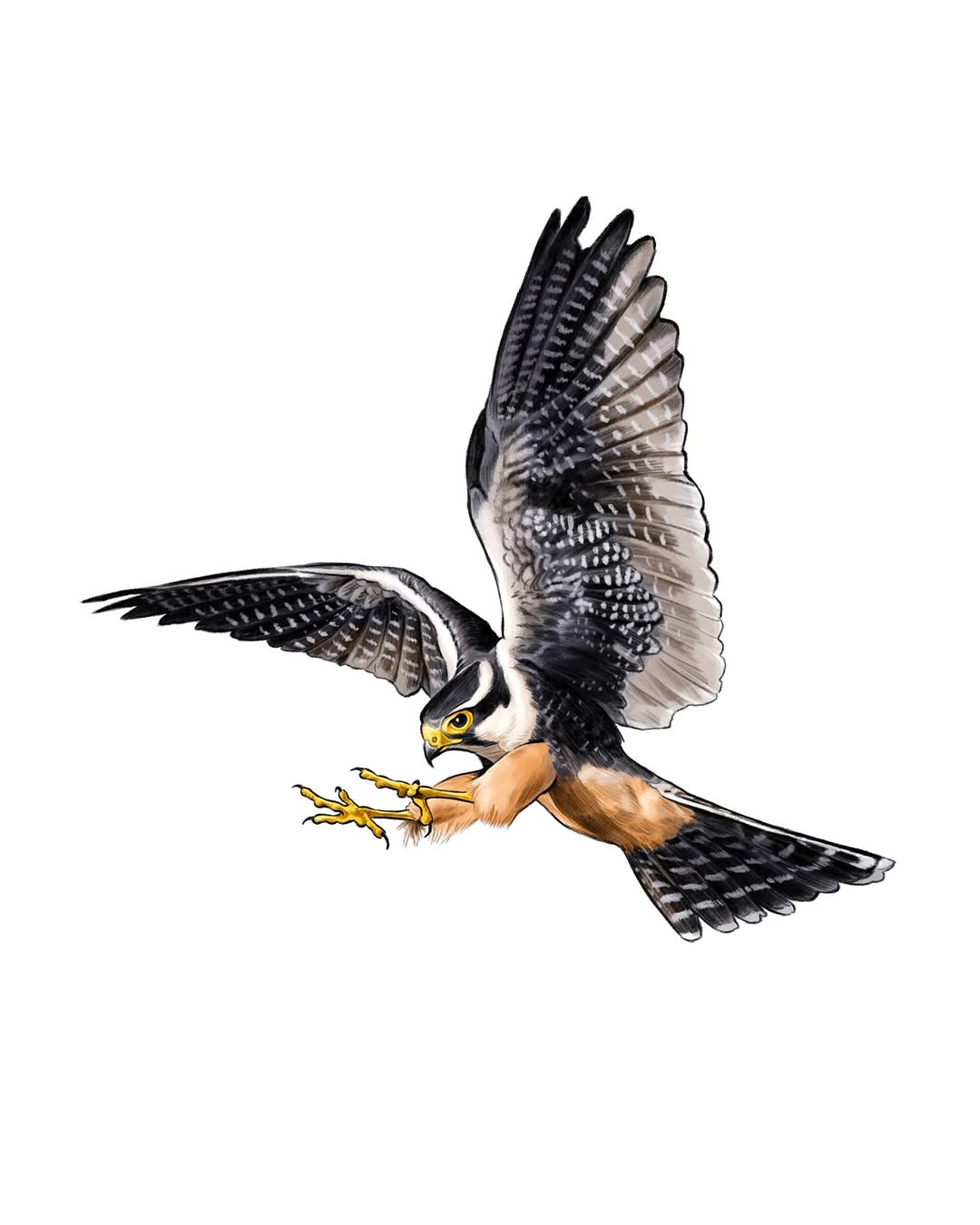 Garden & Gun |  Oct. 25