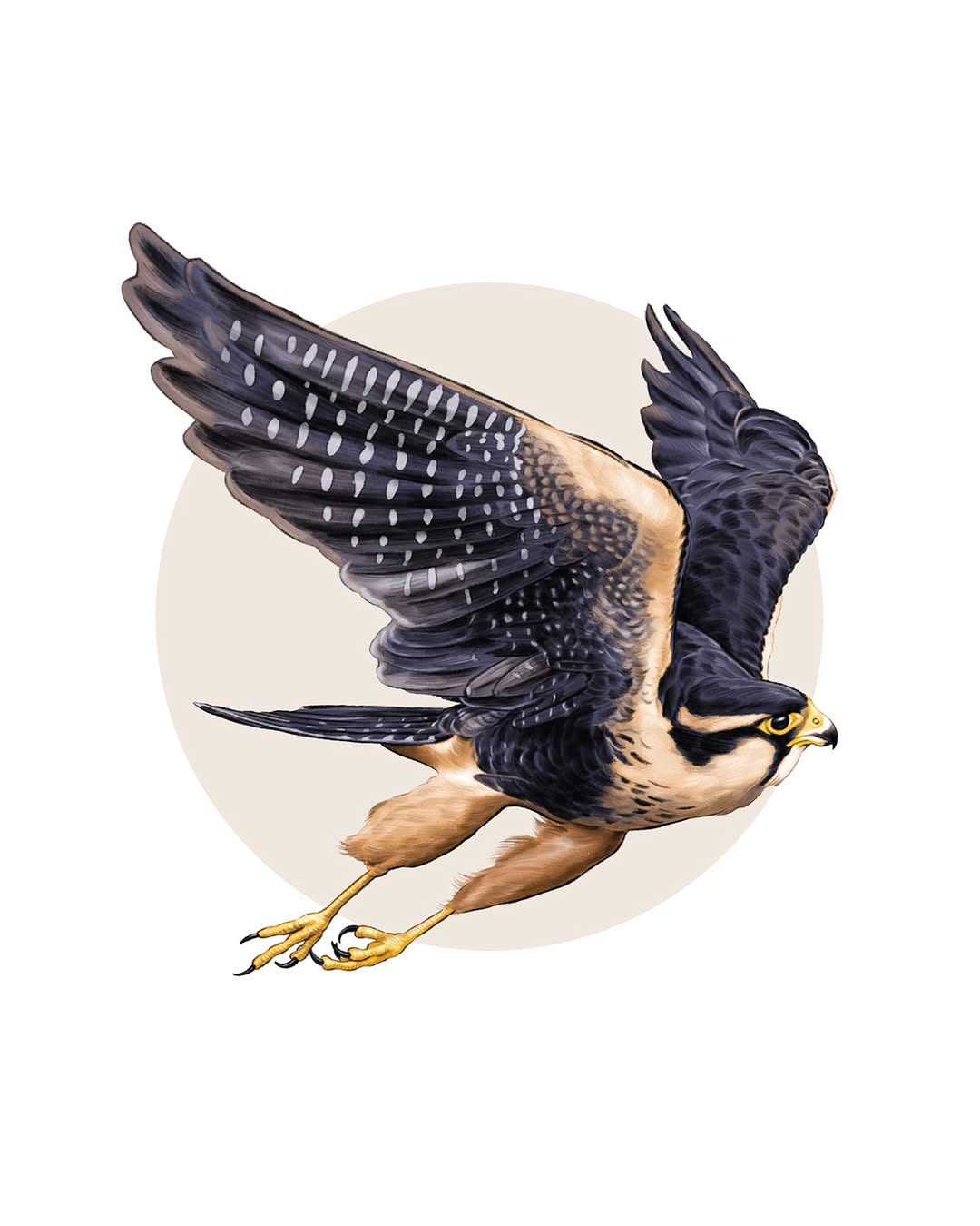 Garden & Gun |  Oct. 25