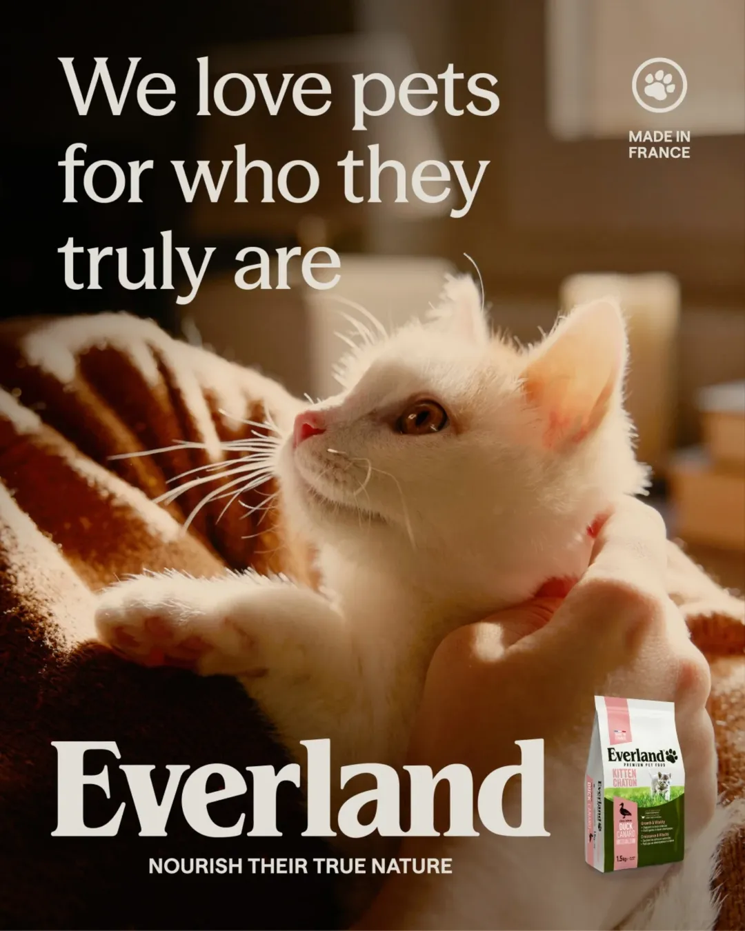 Tori Ferenc X Everland