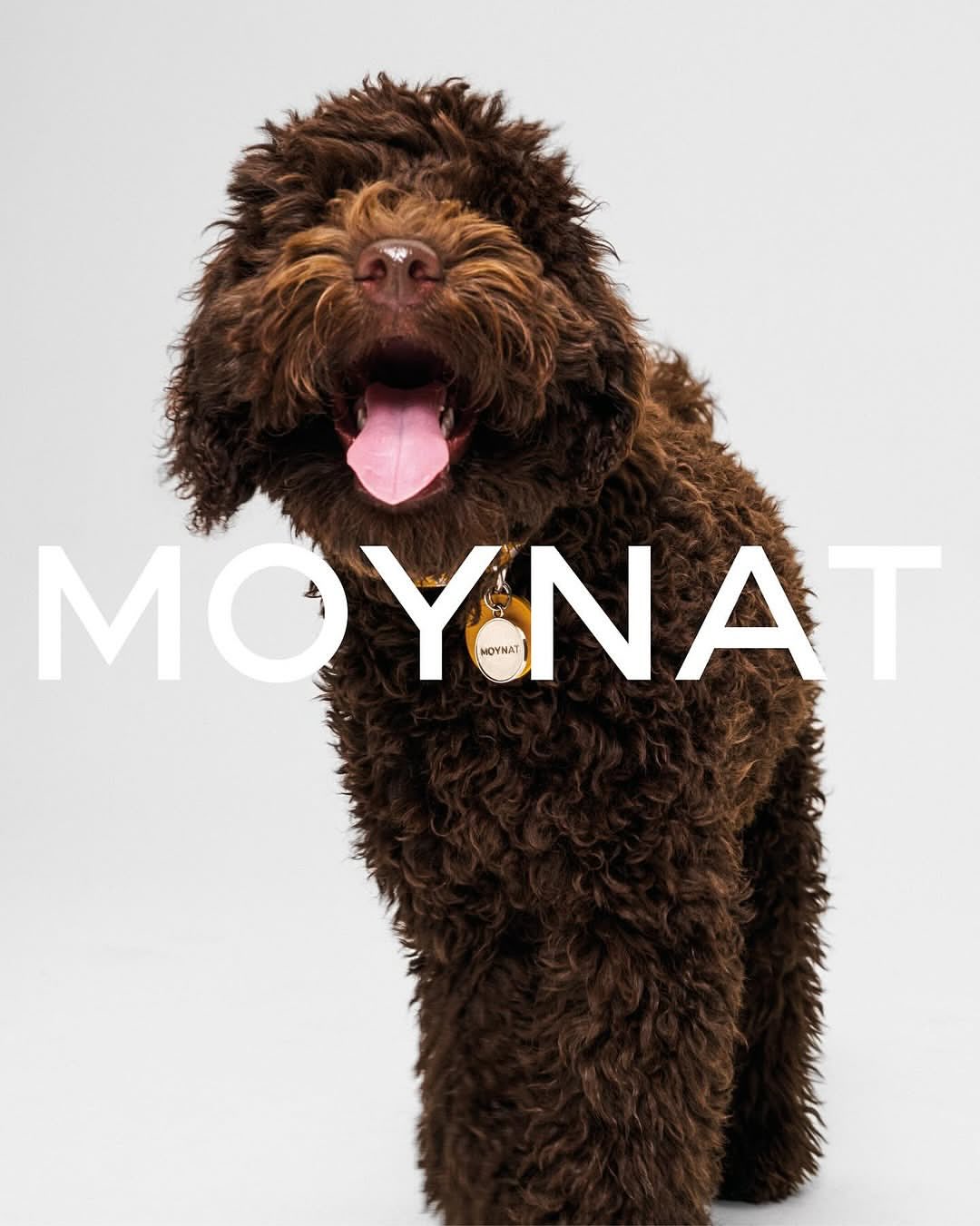 Lukas Wassmann X MOYNAT