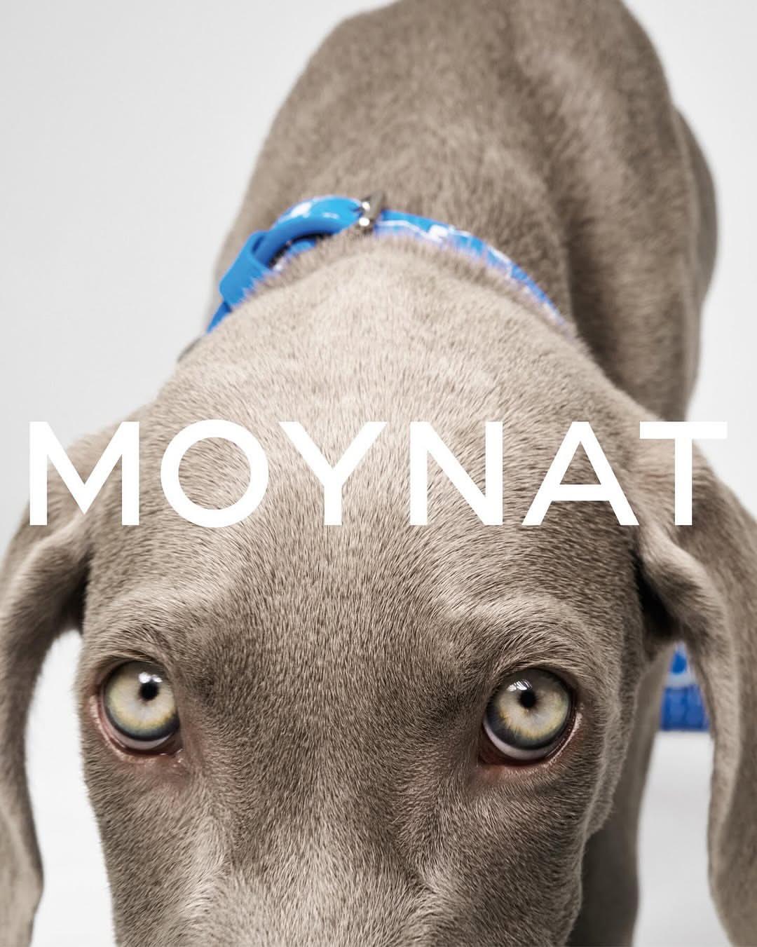 Lukas Wassmann X MOYNAT
