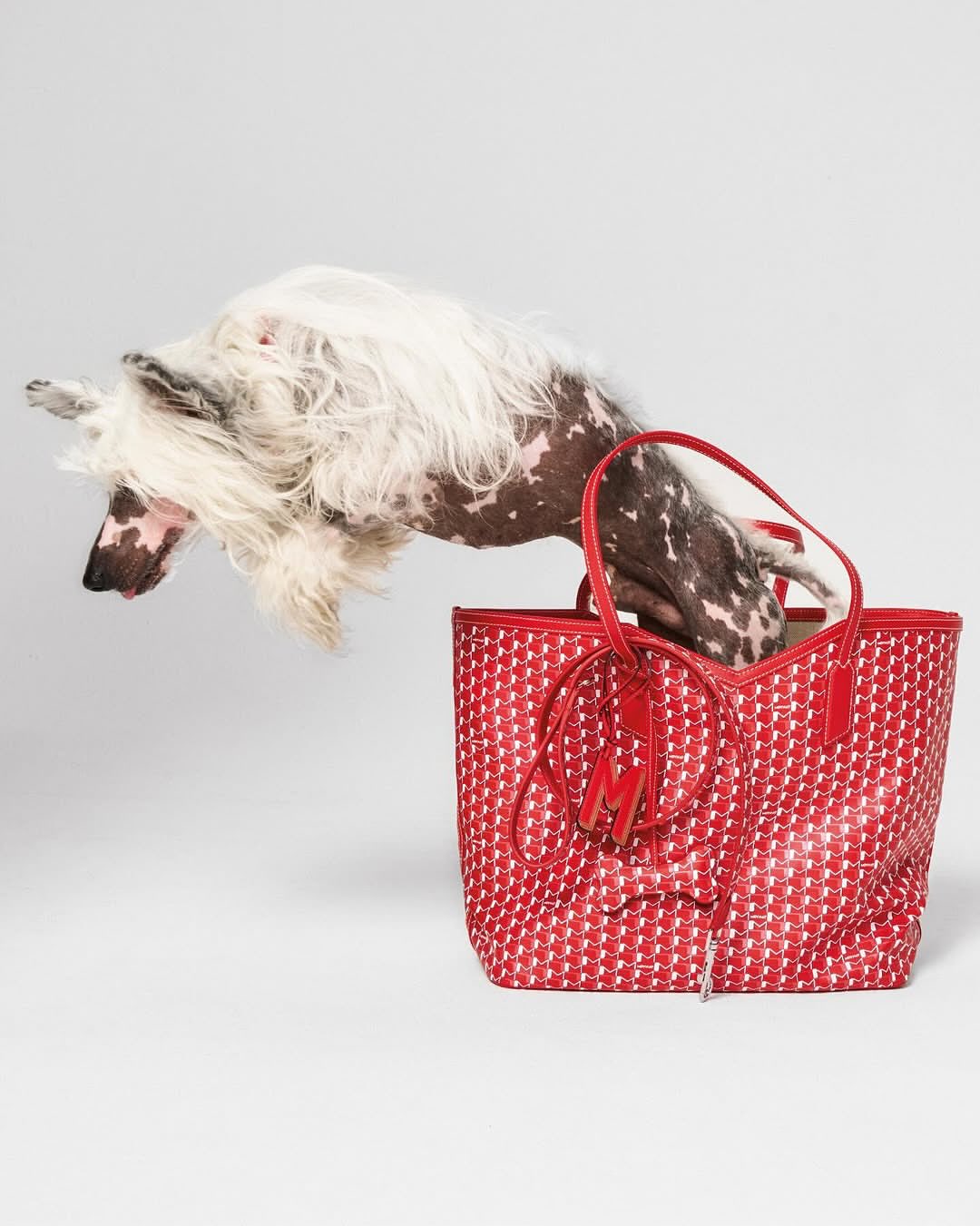 Lukas Wassmann X MOYNAT