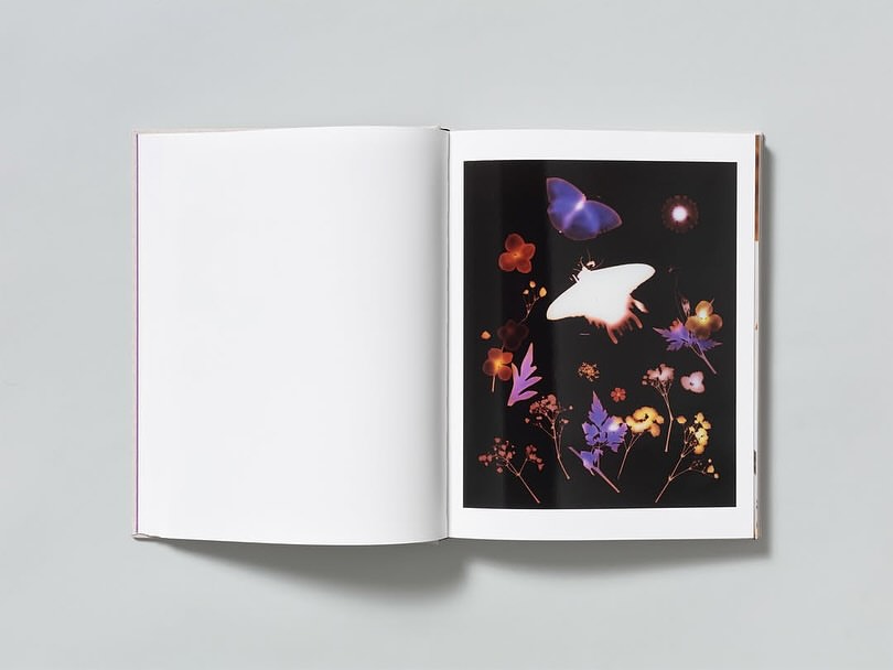 TBW Books |  Sep. 25