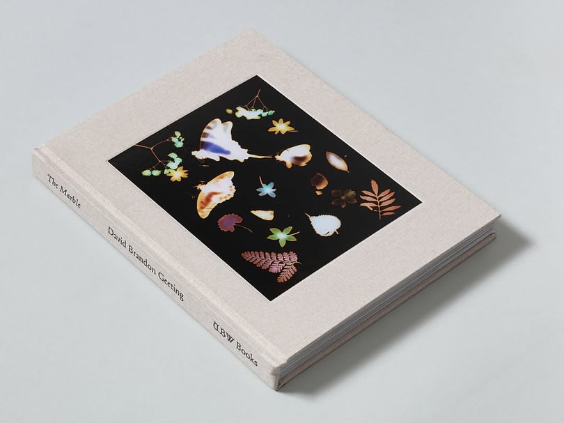 David Brandon Geeting X TBW Books