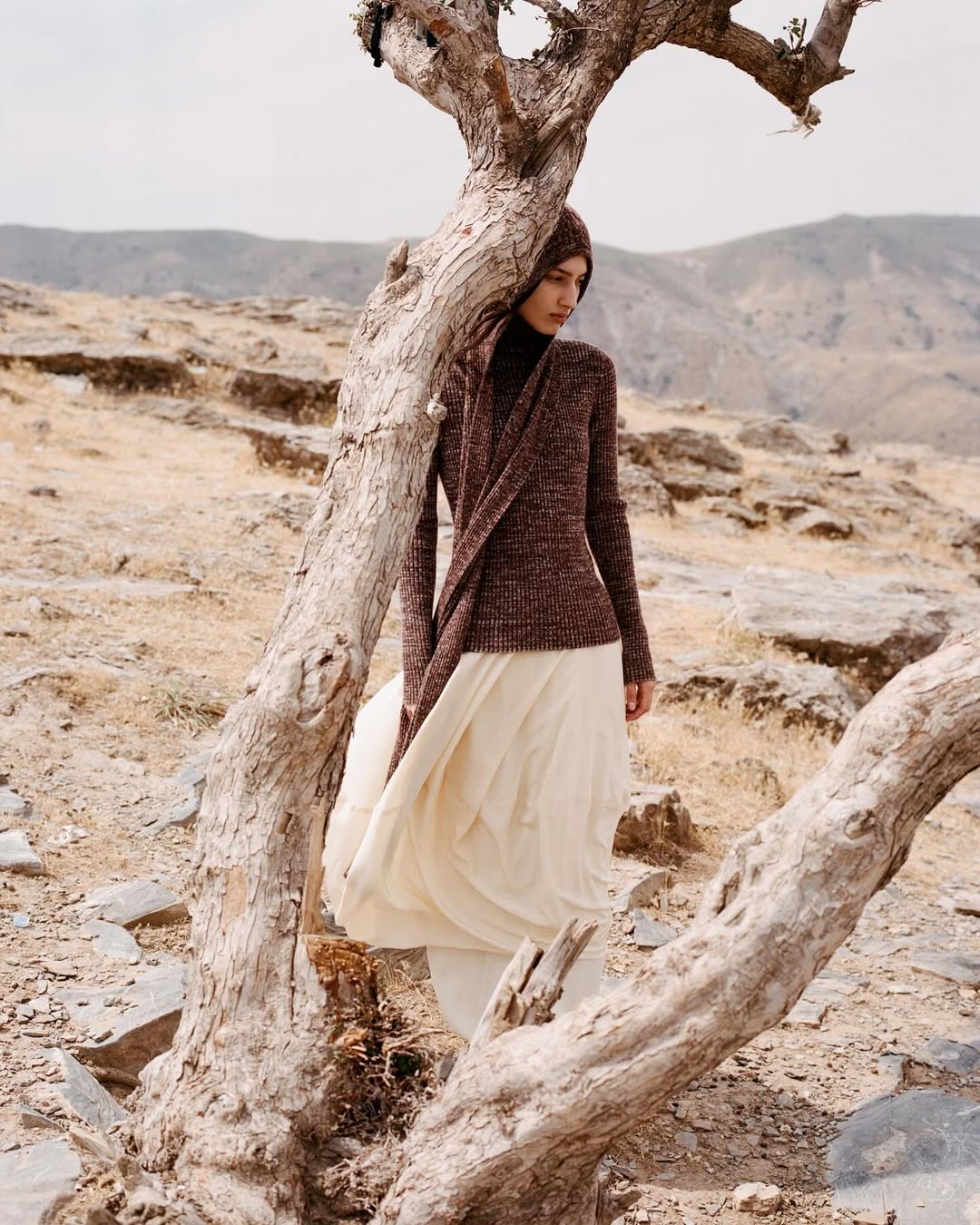 Holiday Magazine