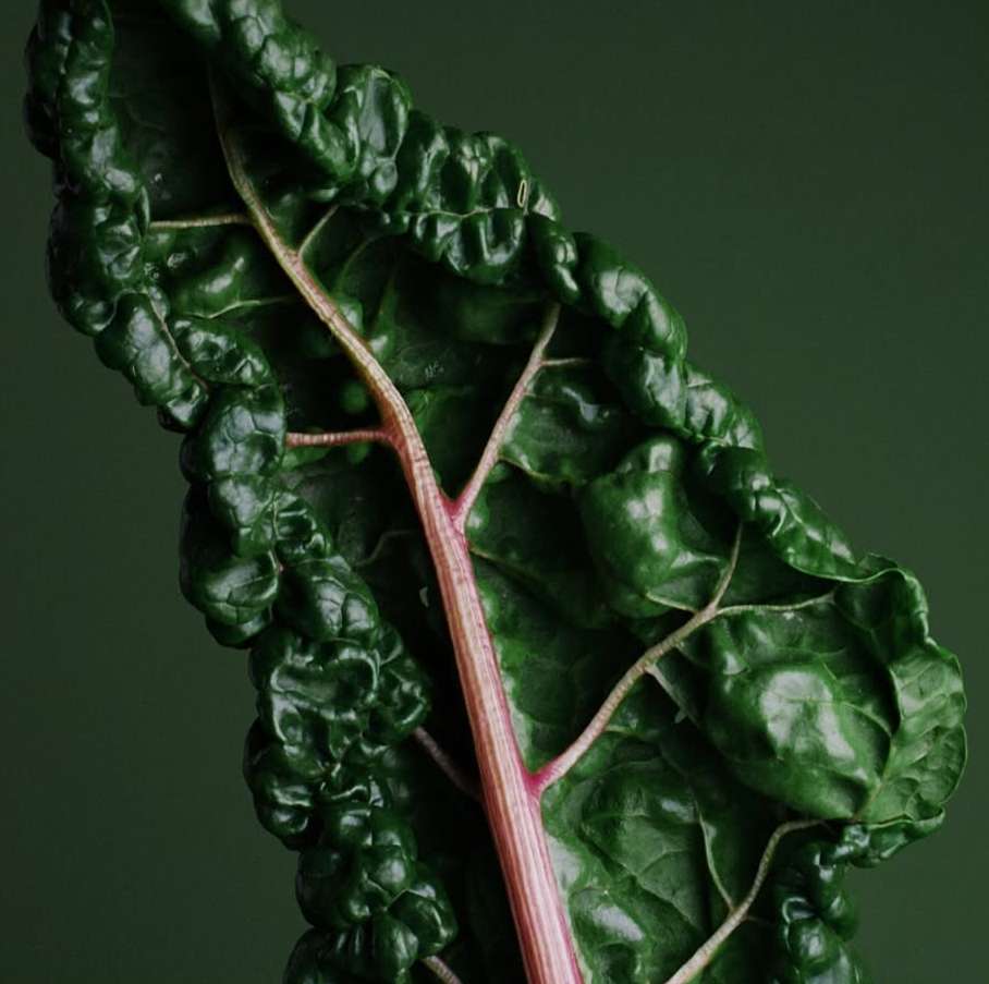Sakara Life |  Apr. 25