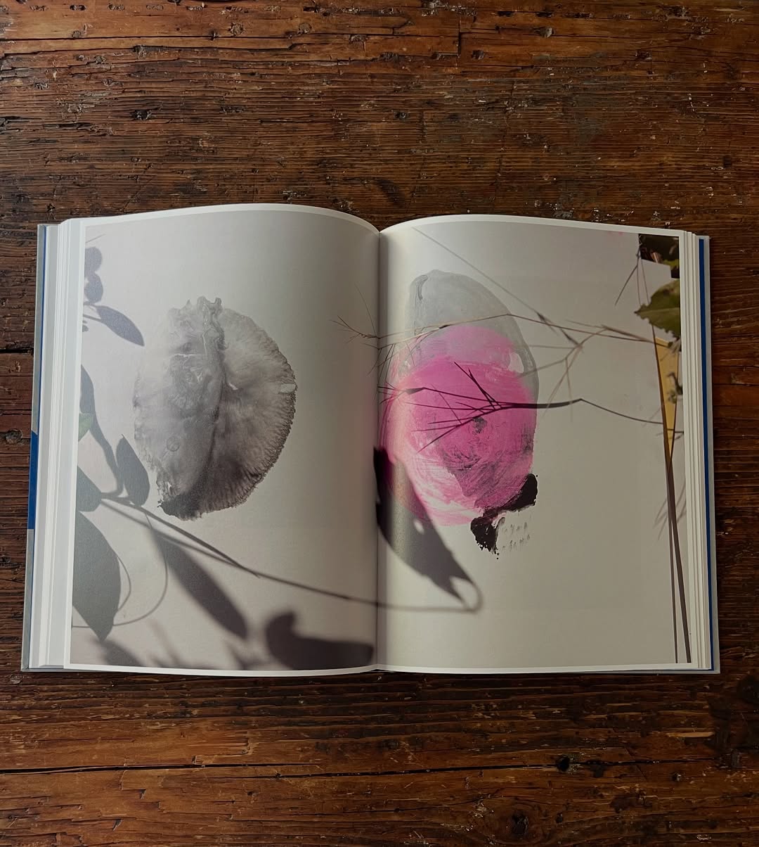 Viviane Sassen