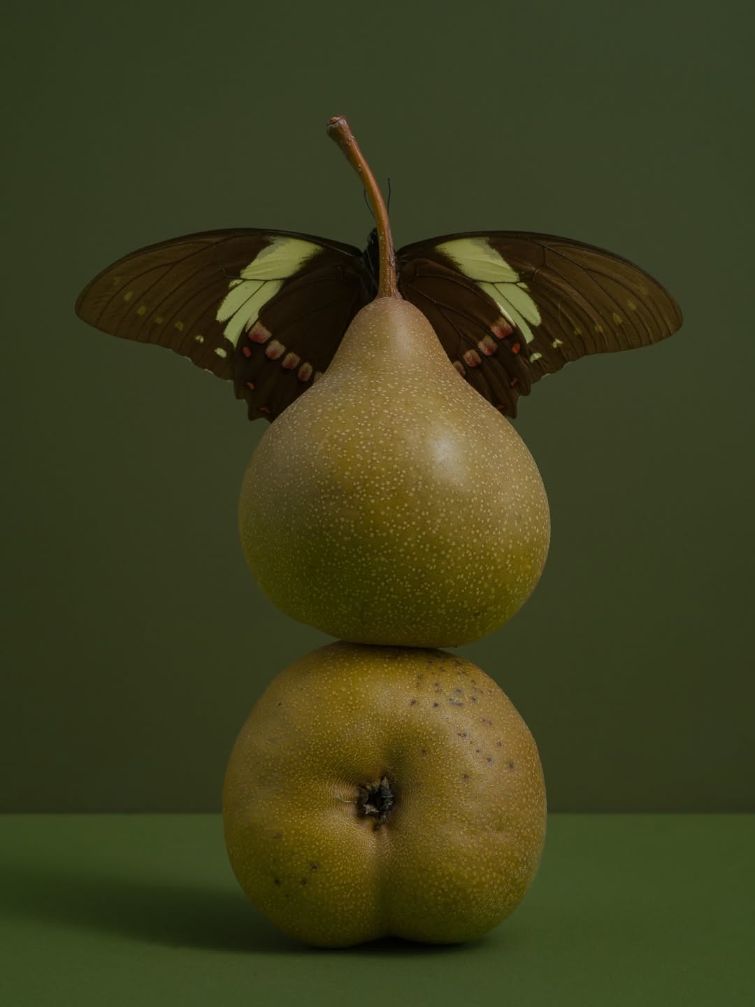 Franck Hamel