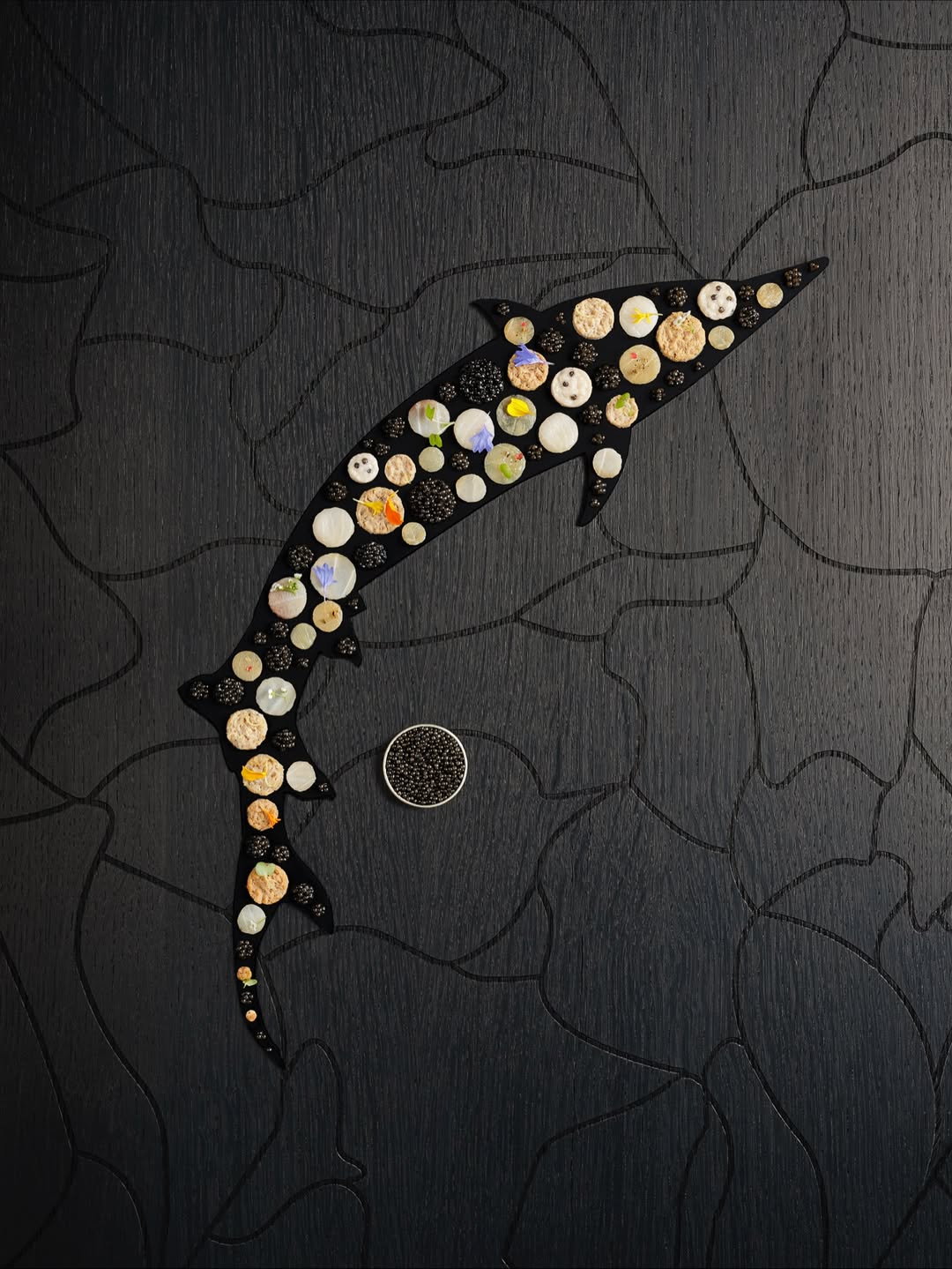 Franck Hamel X Caviar Sturia