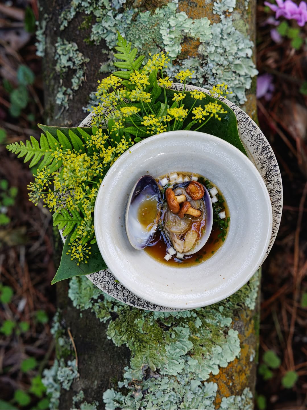 Madame Figaro |  Nov. 25