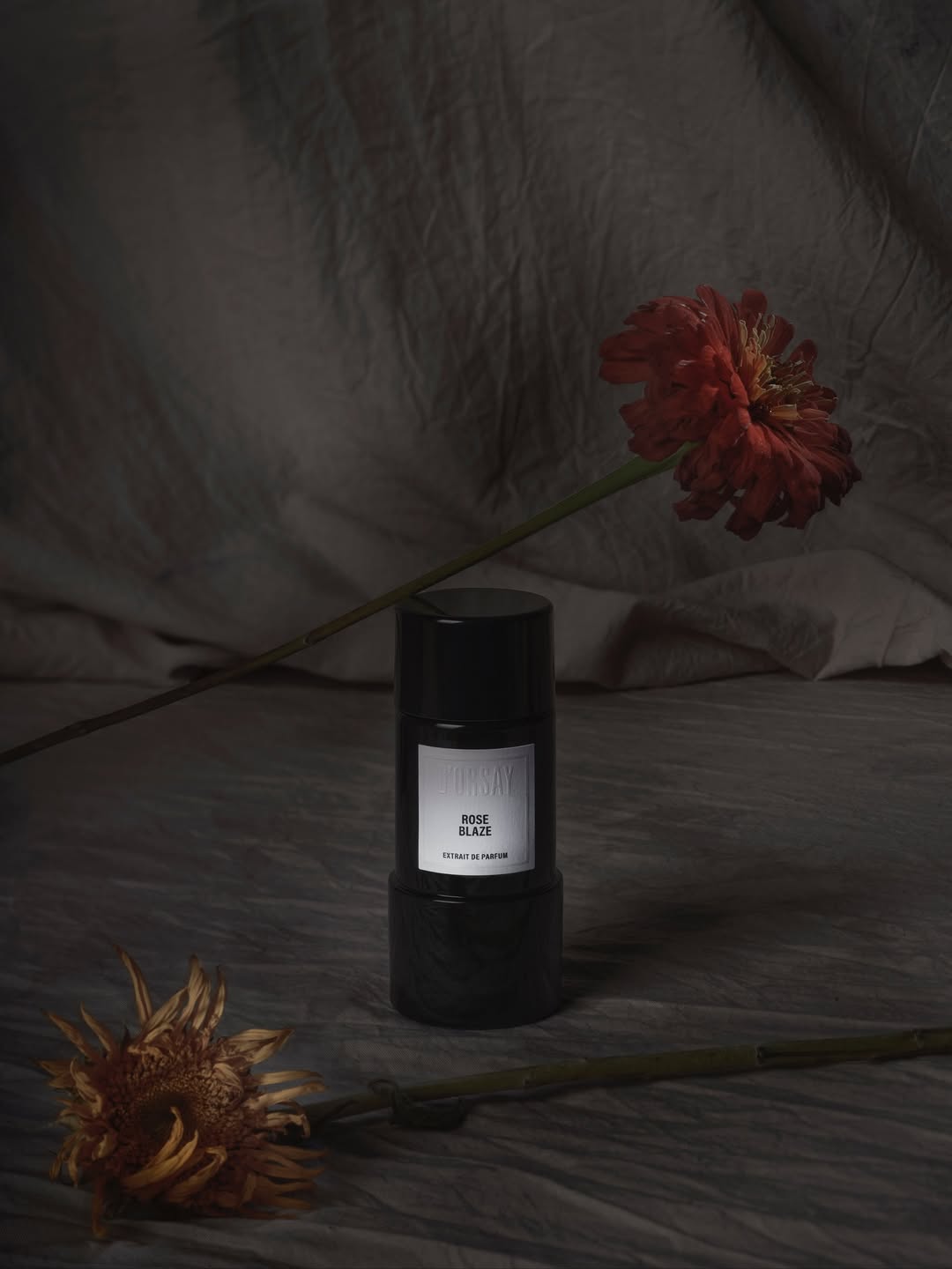 Laurent Moynat X D'Orsay