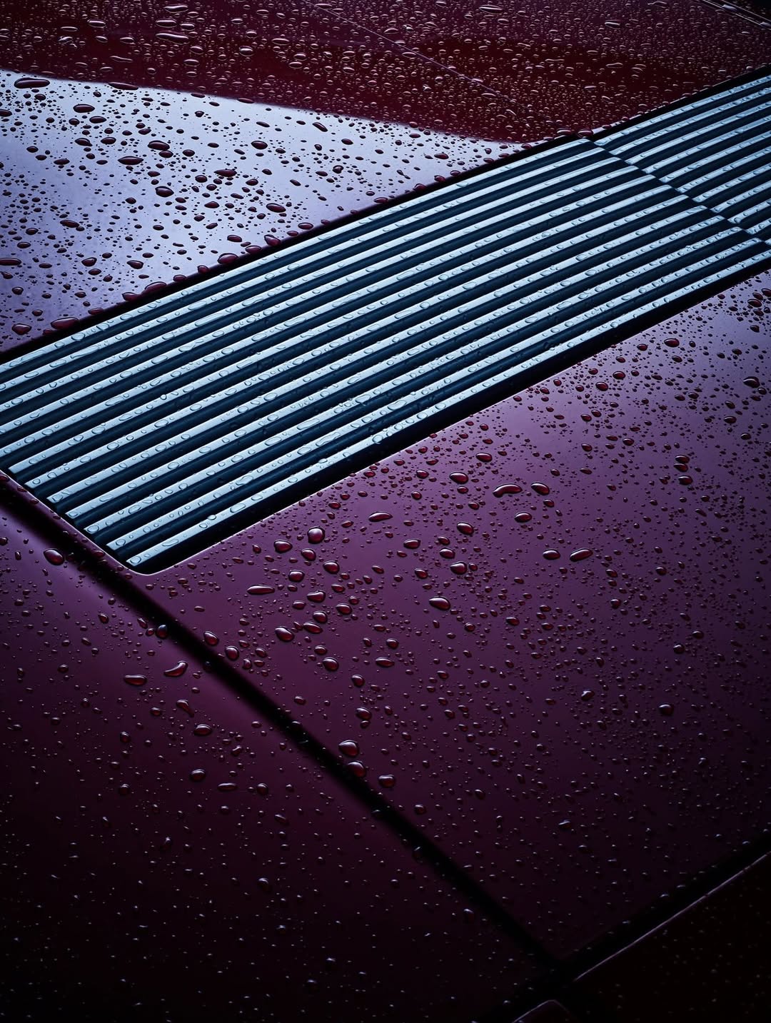 B.I. COLLECTION |  Oct. 25