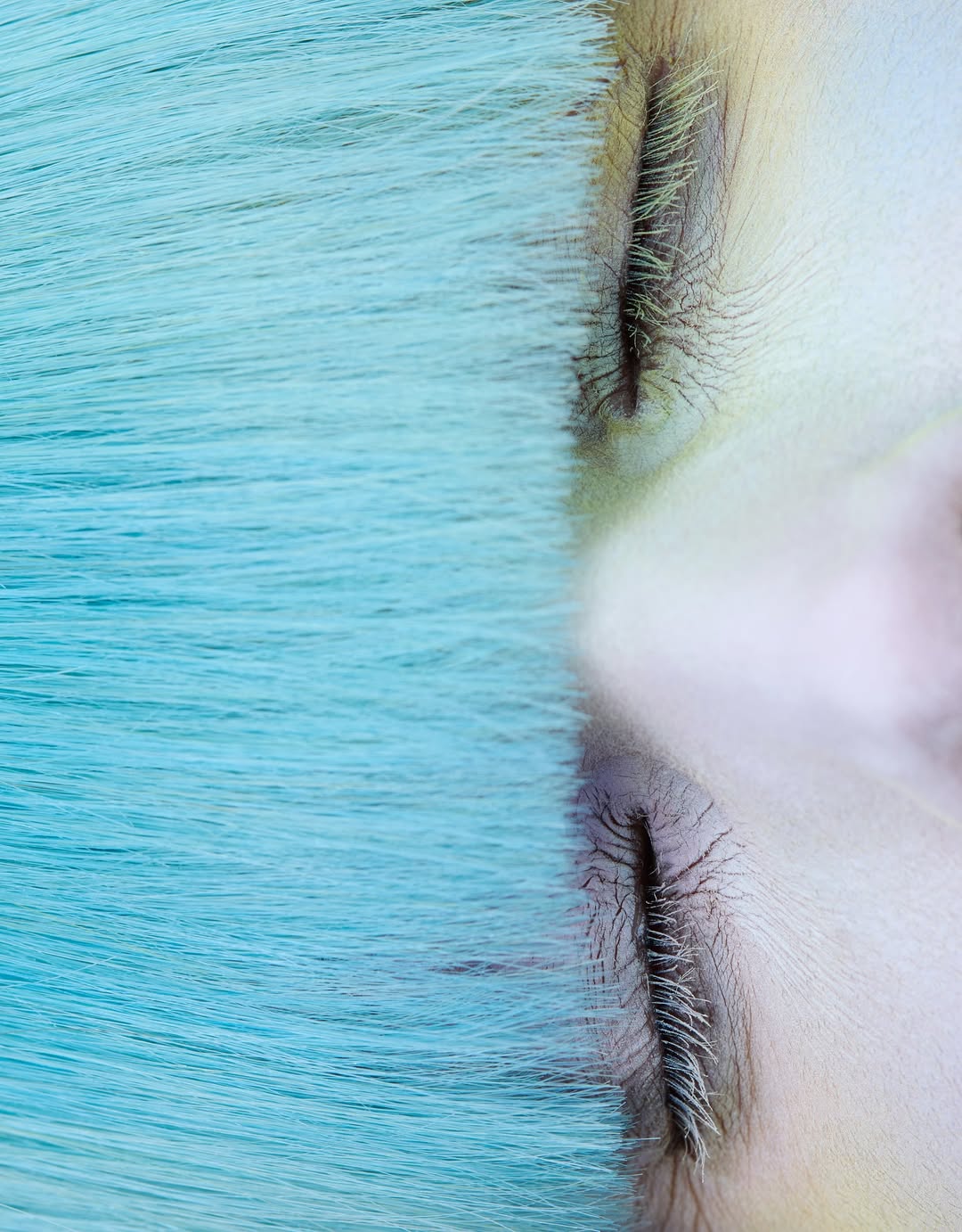 Olivia Haudry X Emergence Magazine