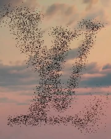 Louis Vuitton |  Dec. 25