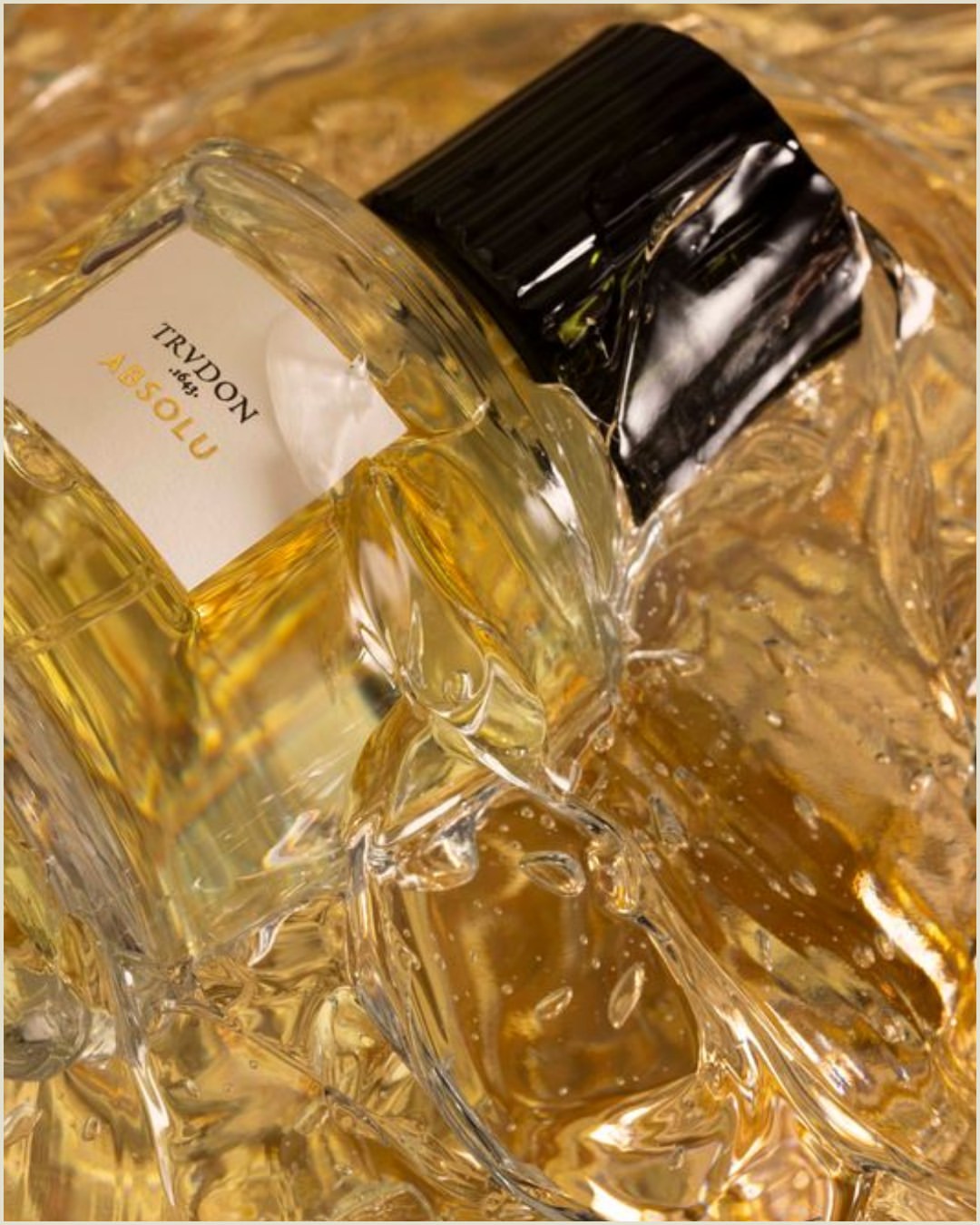 Antinomia X Trudon