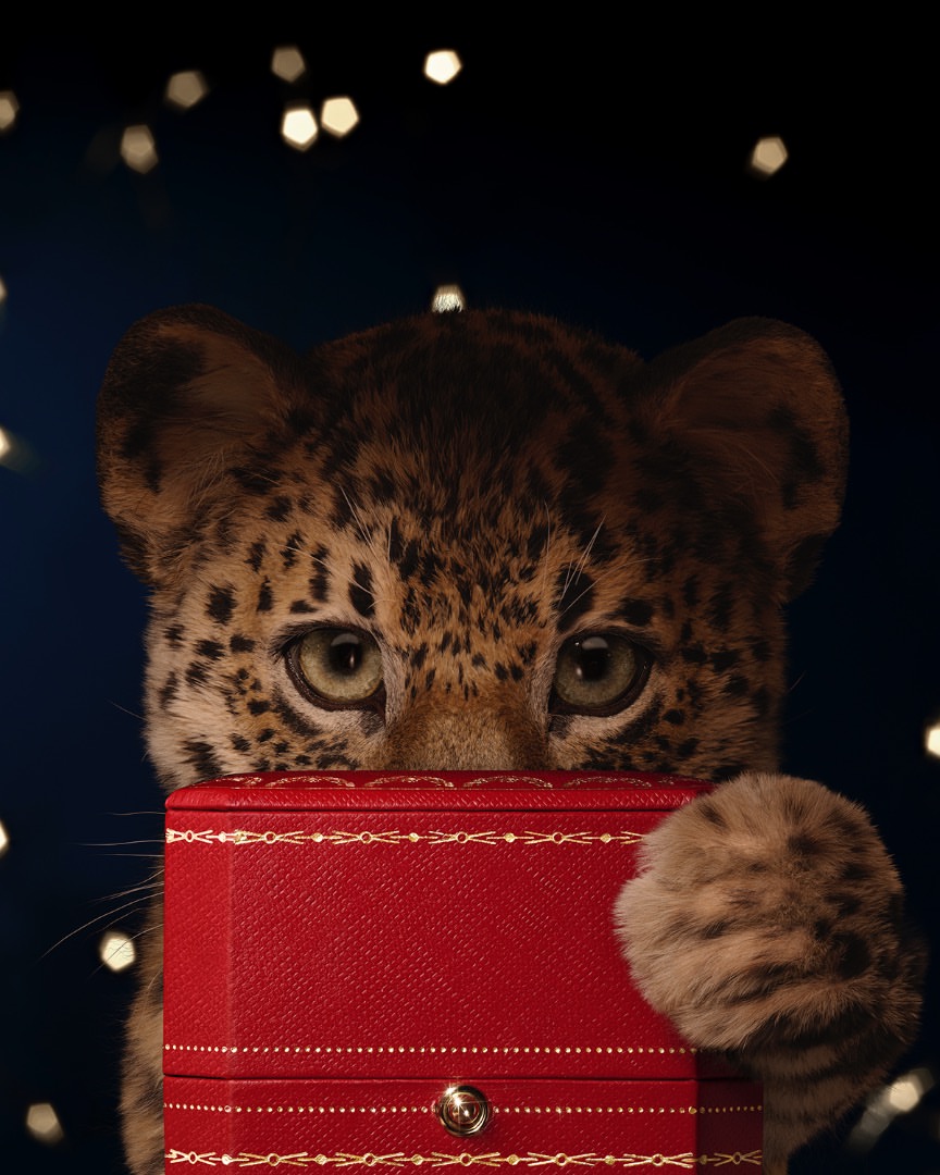 pour @Cartier - @mazarinegroup 