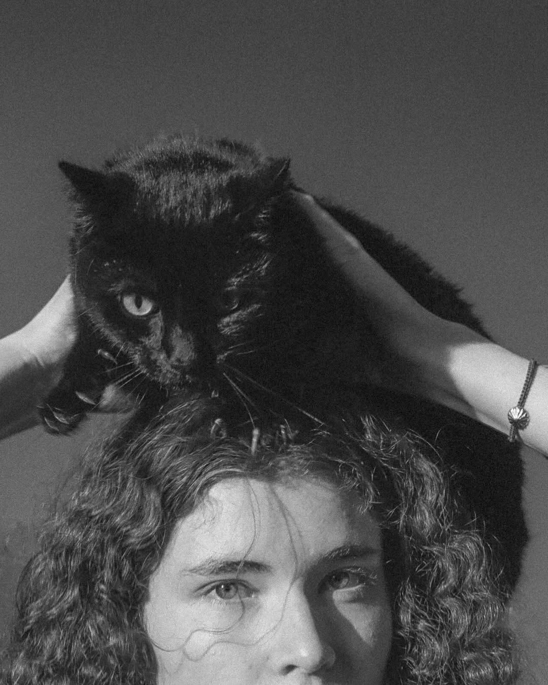 Libraryman |  Dec. 25