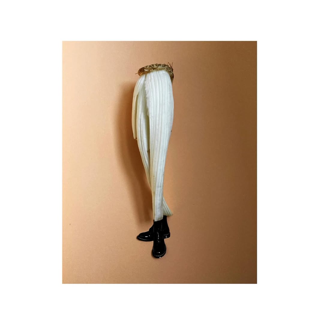 some collages by @smallditch made with found objec...