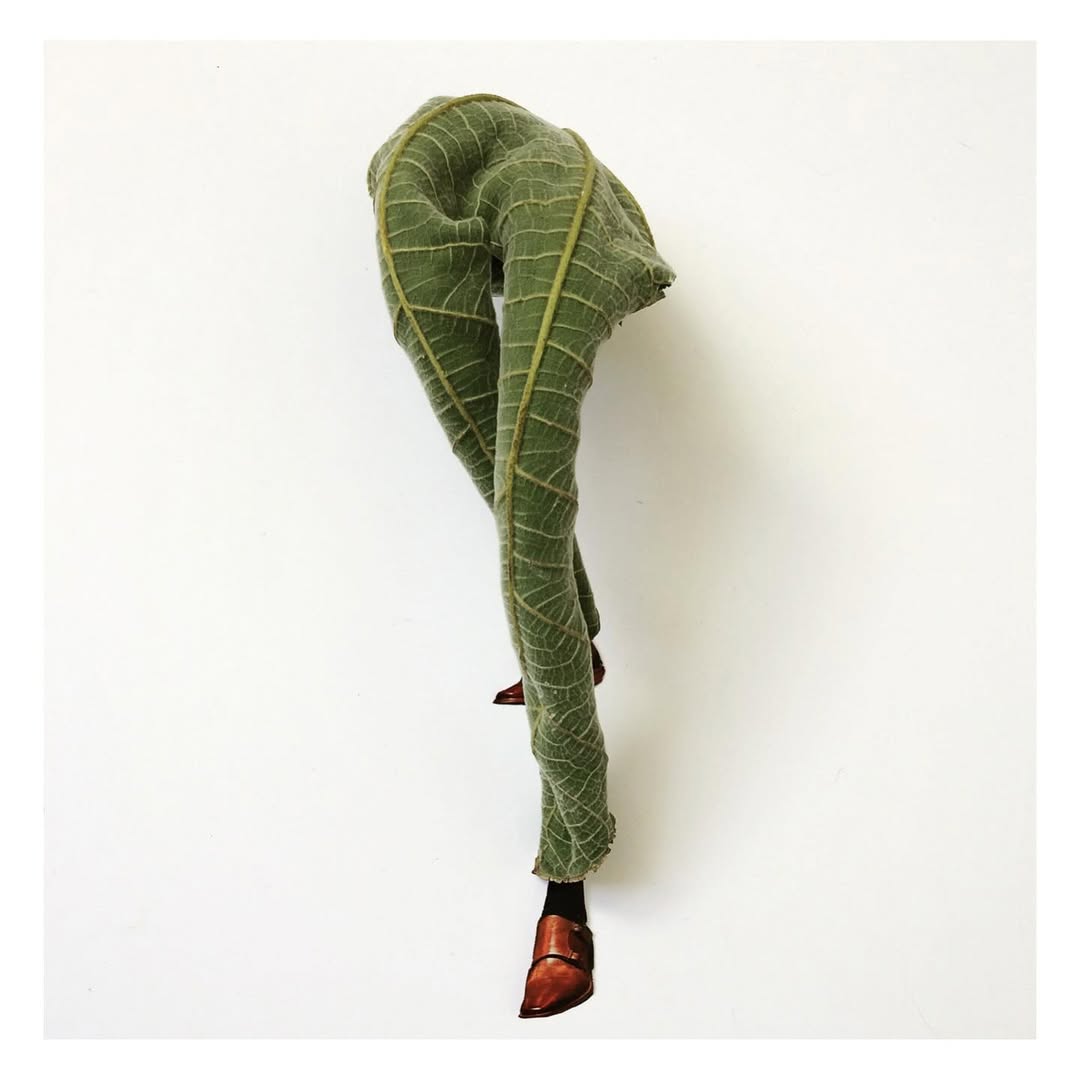 some collages by @smallditch made with found objec...