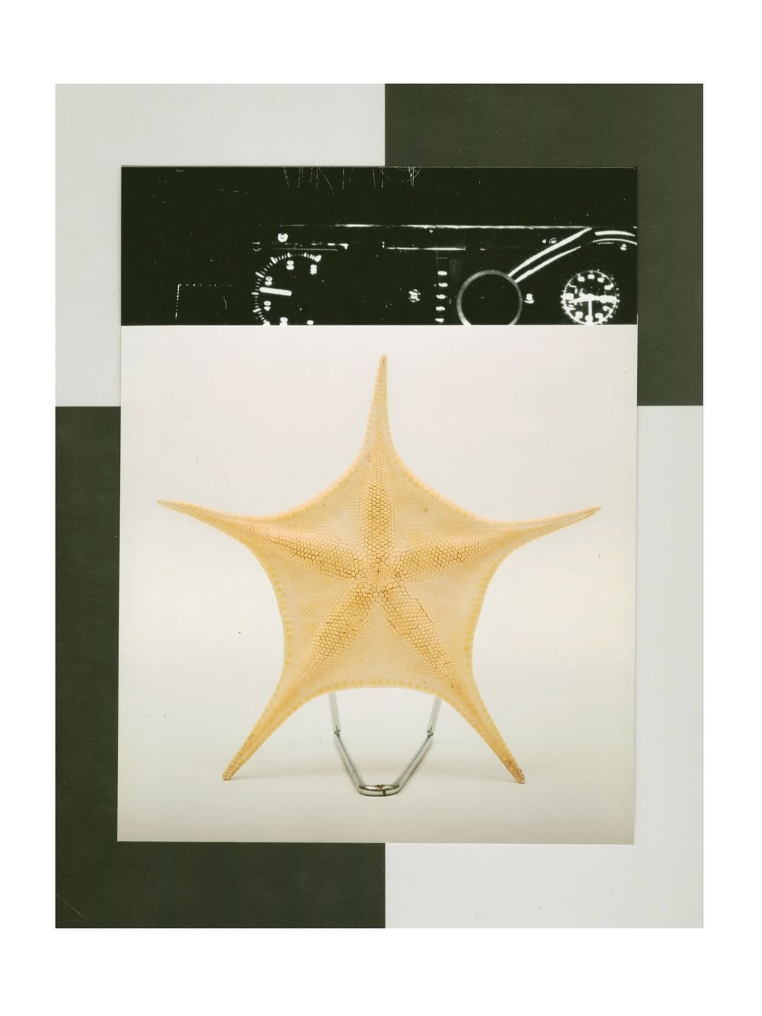 @olivia.wunsche – “Field Notes from Altered Re...