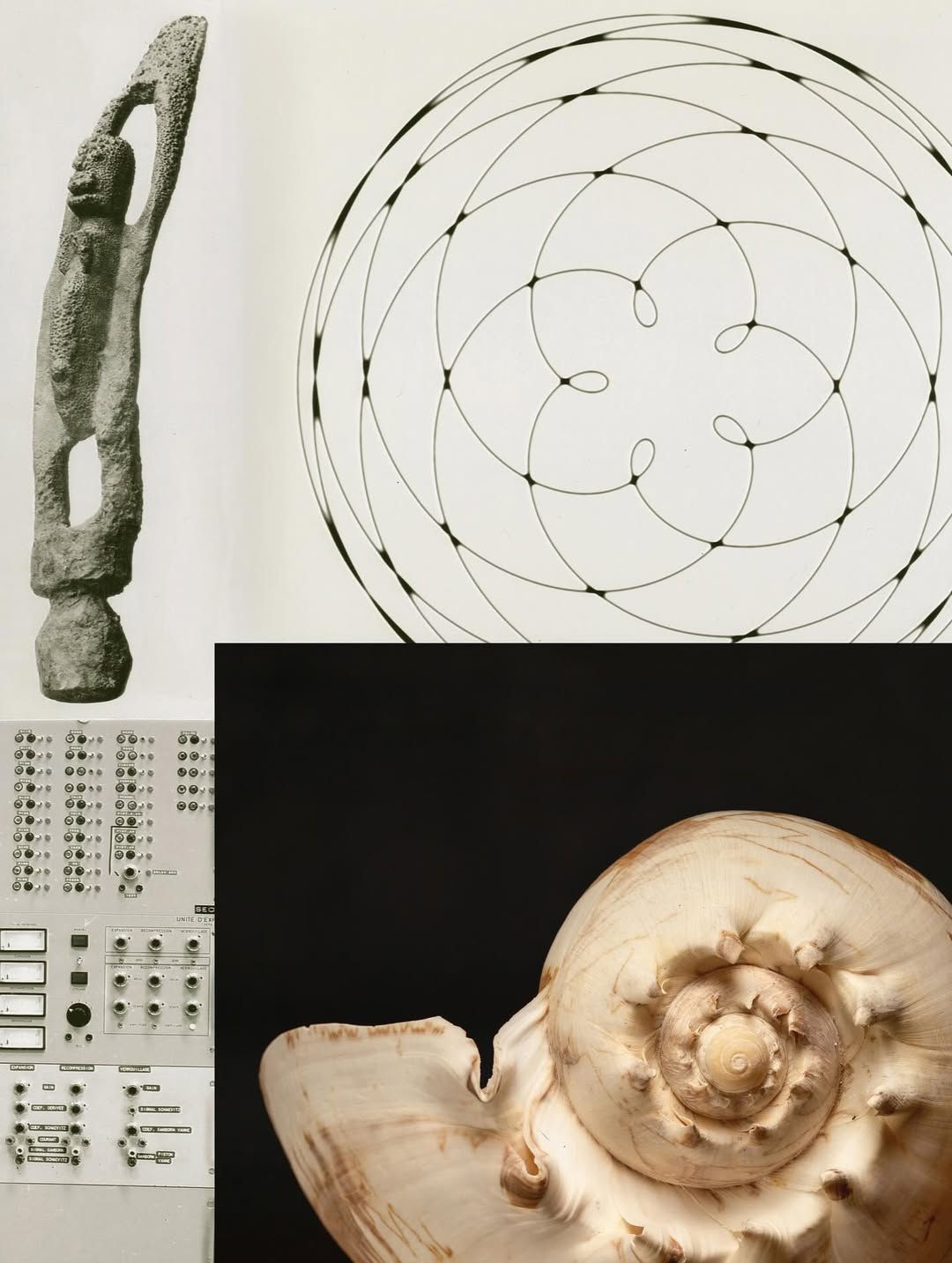 @olivia.wunsche – “Field Notes from Altered Re...