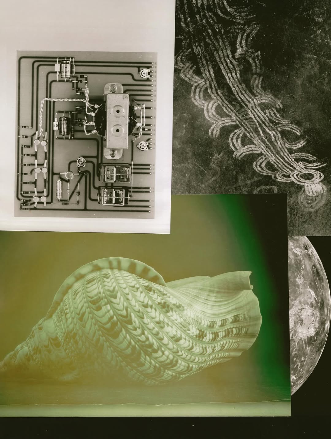 Olivia Wünsche X Acid Magazine