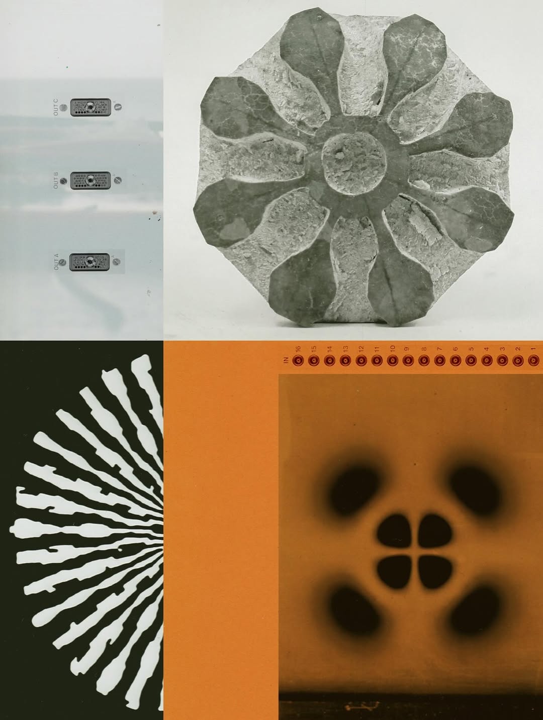 @olivia.wunsche – “Field Notes from Altered Re...