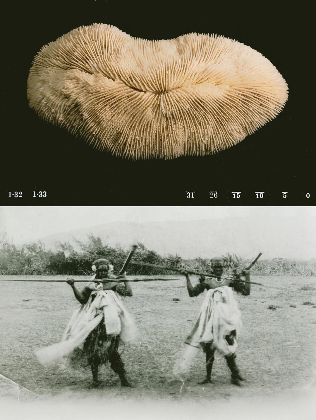 @olivia.wunsche – “Field Notes from Altered Re...