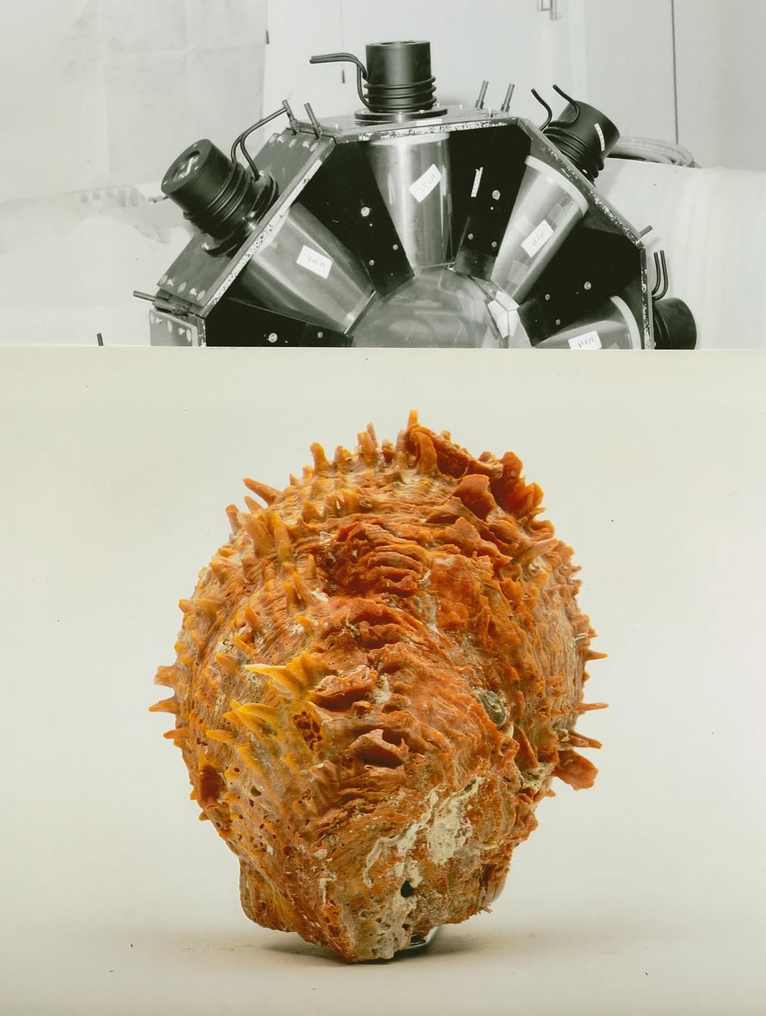 @olivia.wunsche – “Field Notes from Altered Re...