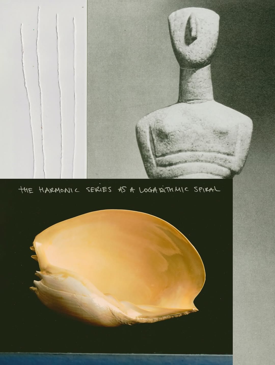 @olivia.wunsche – “Field Notes from Altered Re...