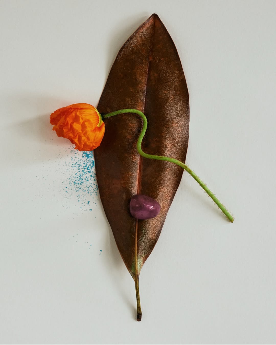 TWNTY Magazine |  Nov. 25